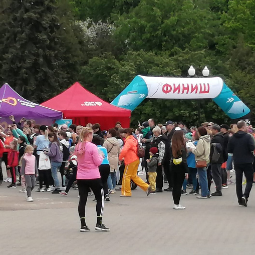 Благотворительный праздник "Зеленое солнце" в Измайловском парке